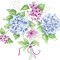 Hydrangea Bunch Wall Stencil | 2294 by Designer Stencils | Floral Stencils | Reusable Art Craft Stencils for Painting on Walls, Canvas, Wood | Reusable Plastic Paint Stencil for Home Makeover | Easy to Use & Clean Art Stencil